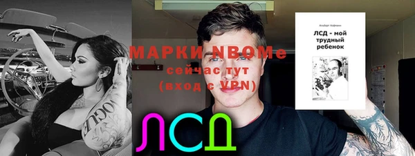 прущий лед Касимов