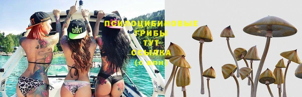 прущий лед Касимов