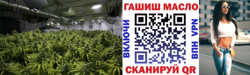 ТГК Wax  Купить  Иннополис 
