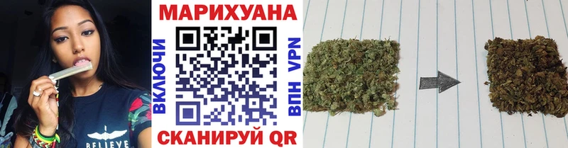 Каннабис OG Kush  Купить  Иннополис 